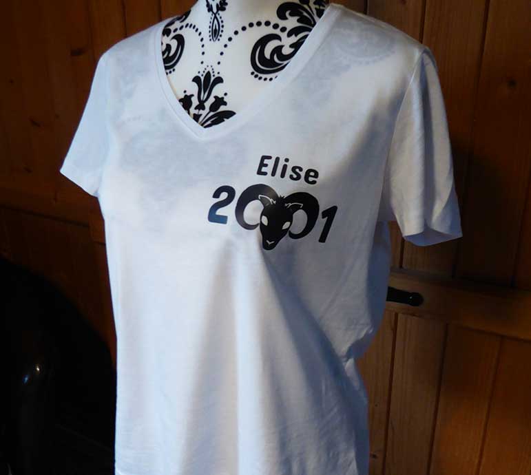 impression sur tissus Thônes Haute Savoie Haute Savoie spécialiste impression en petite quantité pour particuliers ou les restaurants