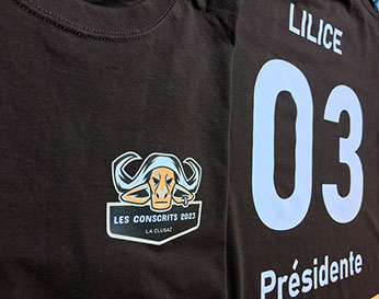 impression sur tissus Thônes Haute Savoie Haute Savoie spécialiste impression en petite quantité pour particuliers ou les restaurants