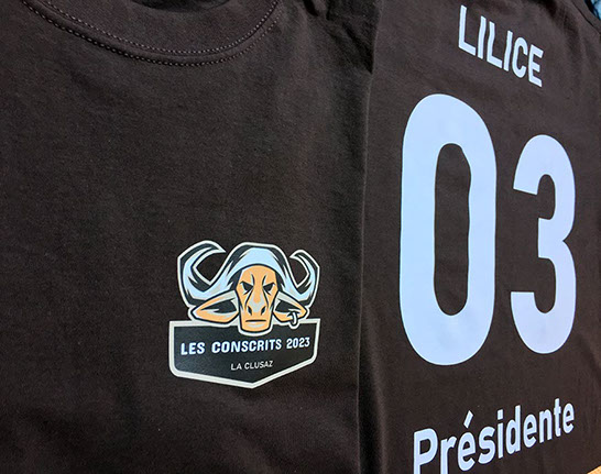 impression sur tissus Thônes Haute Savoie Haute Savoie spécialiste impression en petite quantité pour particuliers ou les restaurants